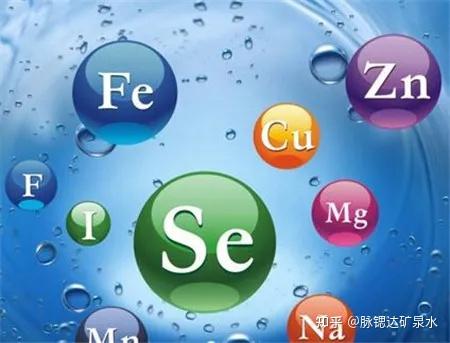 微量元素怎么补
