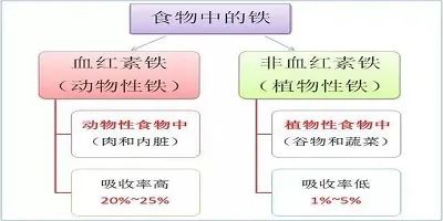 微量元素铁