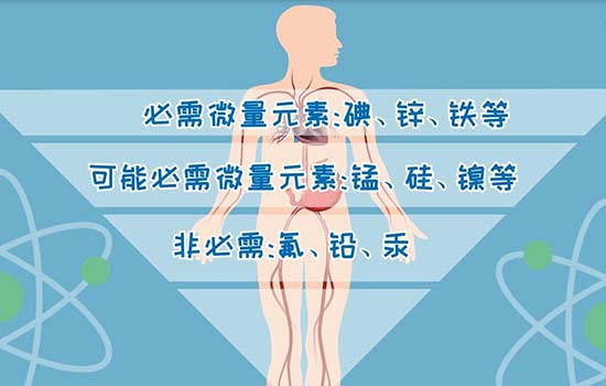 人体必需微量元素包括