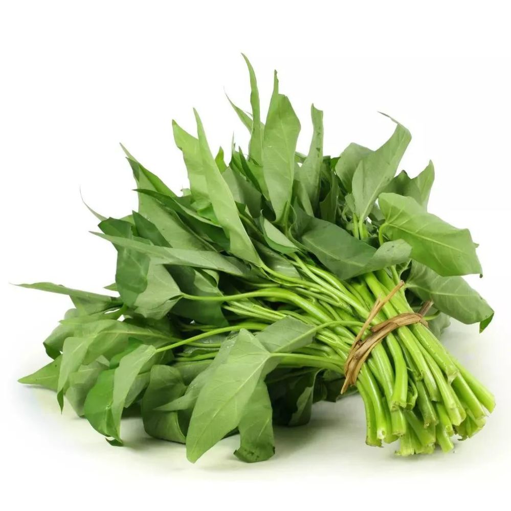 补钙蔬菜(蔬菜补钙有哪些)-硒宝网