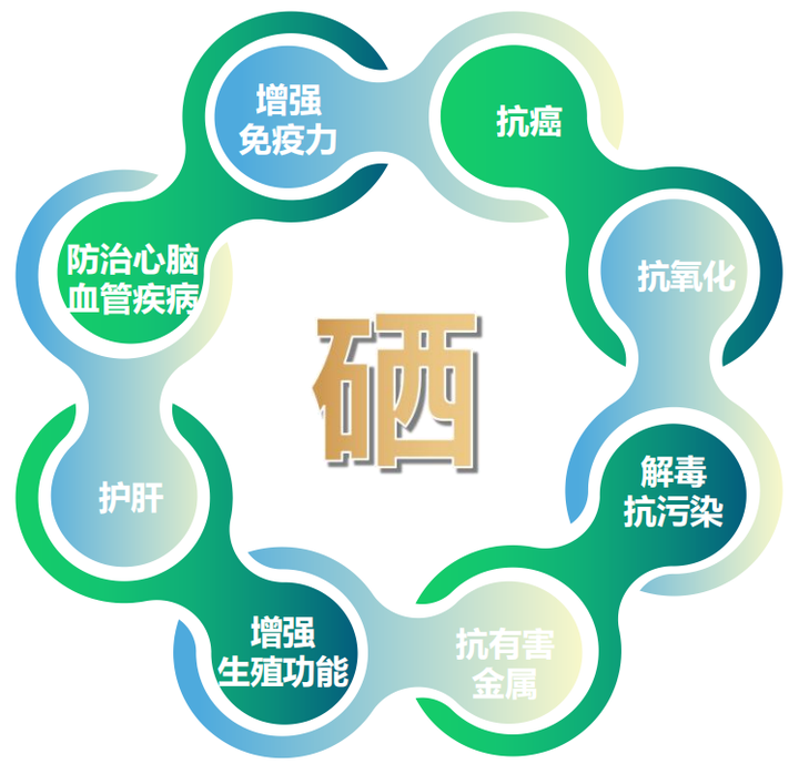 含硒元素的农产品