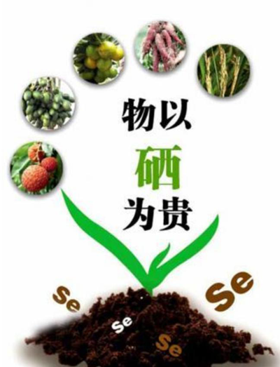 中科院对硒的产品