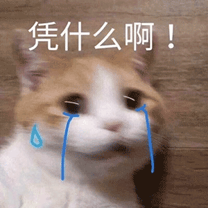 6个月宝宝补钙十大牌子