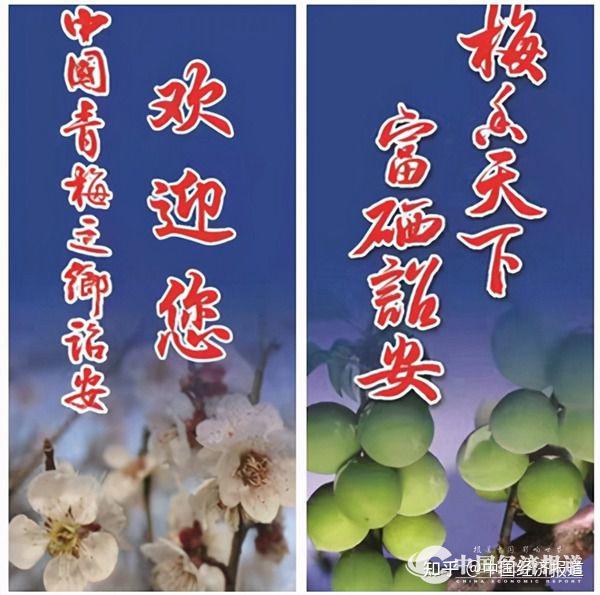 真硒水产品推介会(硒产品市?。?硒宝网
