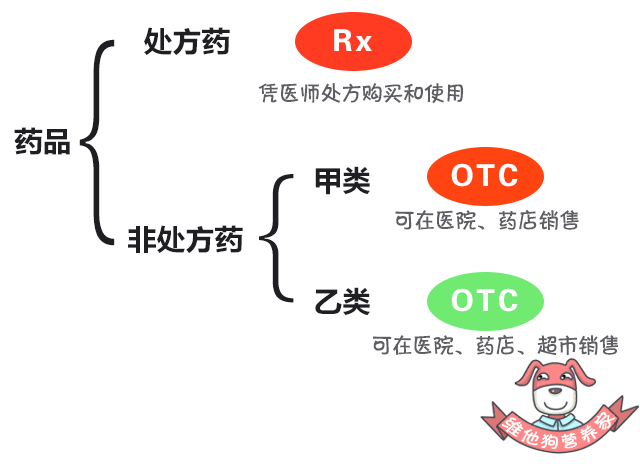 补钙的药品有哪些
