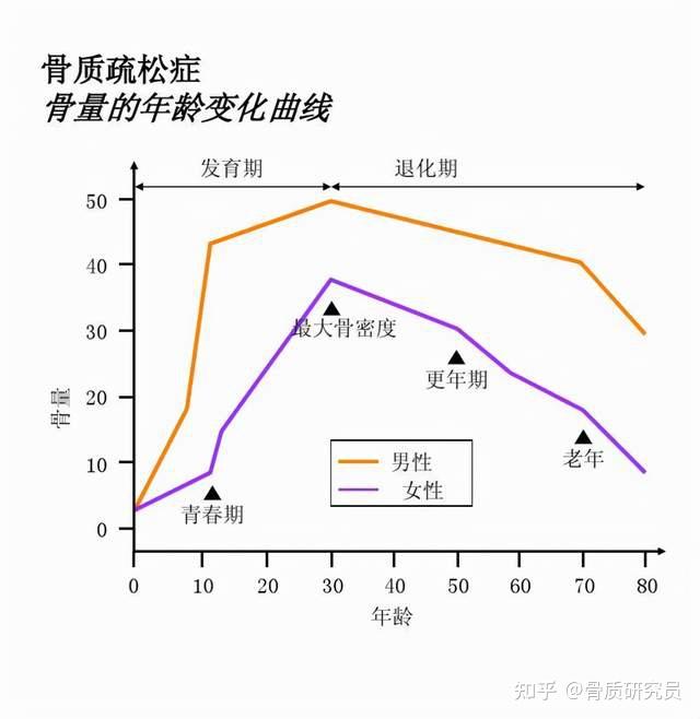 骨质疏松补钙有用吗