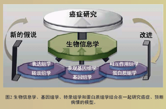 硒维康会不会中毒