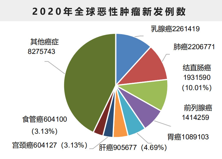 硒维康会不会中毒