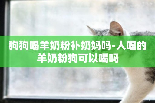 狗狗吃什么补钙最快
