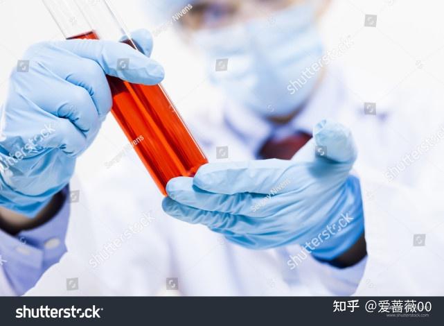 补血补铁的食物有哪些