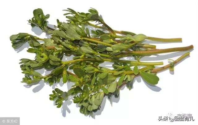 孕妇补铁的食物