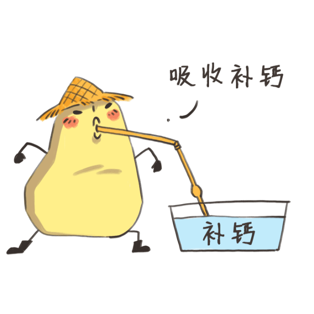 正确补钙的方法