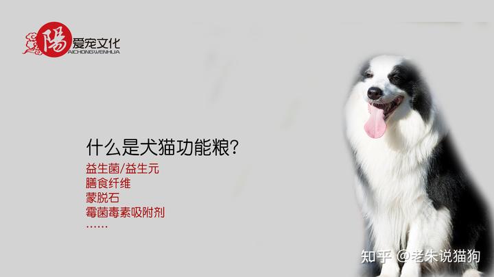 锌硒宝与硒酵母片