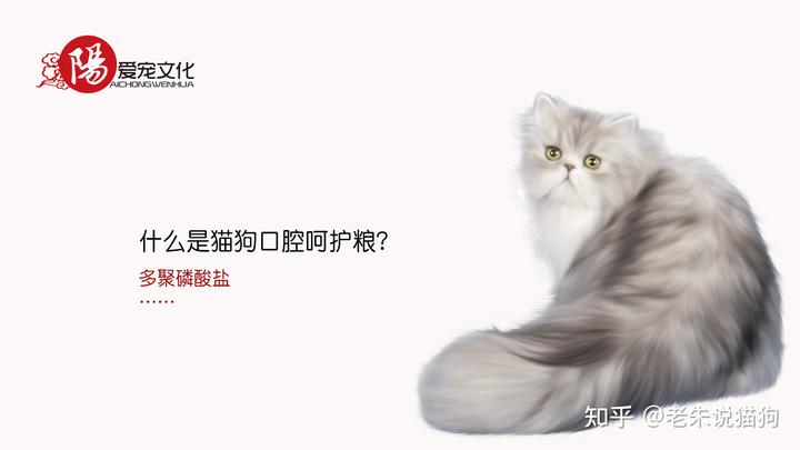 锌硒宝与硒酵母片
