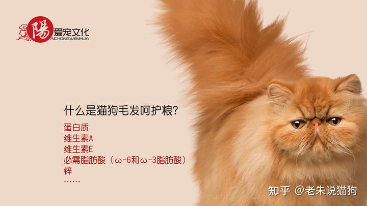 锌硒宝与硒酵母片