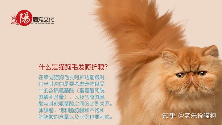 锌硒宝与硒酵母片