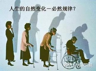什么骨头汤最补钙