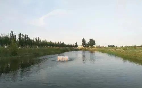 虾壳补钙吗(虾壳补钙是真的吗)-硒宝网