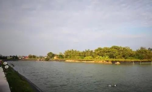 虾壳补钙吗(虾壳补钙是真的吗)-硒宝网