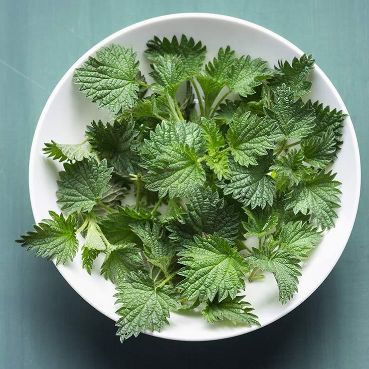 补钙食物前十名