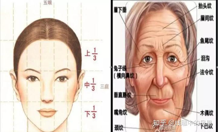 补钙面部会衰老得慢些吗