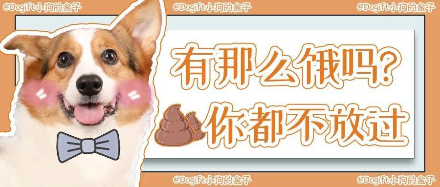 微量元素多少钱