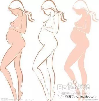 孕妇吃什么可以补钙