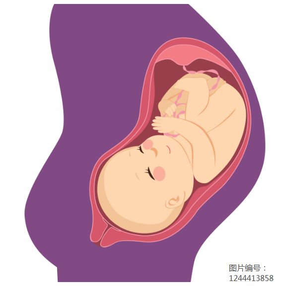 孕妇多少周补钙