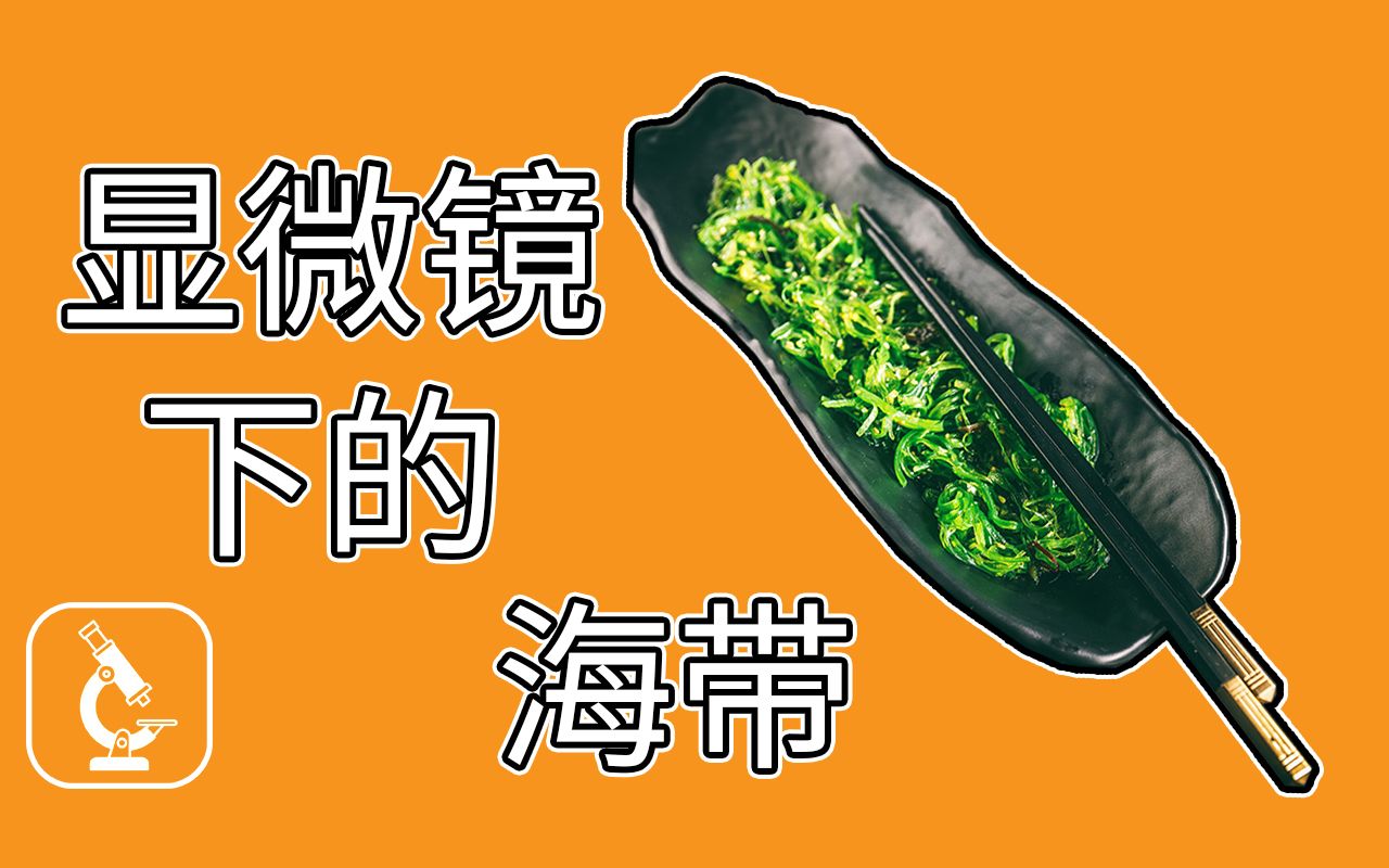 补碘的食物