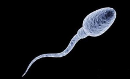 常见的微量元素(常见微量元素口诀)-硒宝网