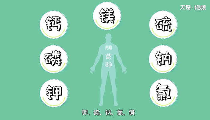 吃锌硒宝最佳时间