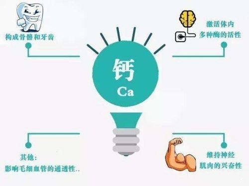 什么水果是钙中之王