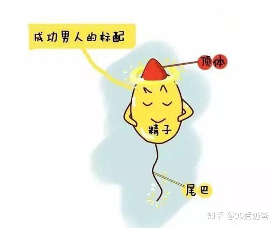 爱乐维锌硒宝作用