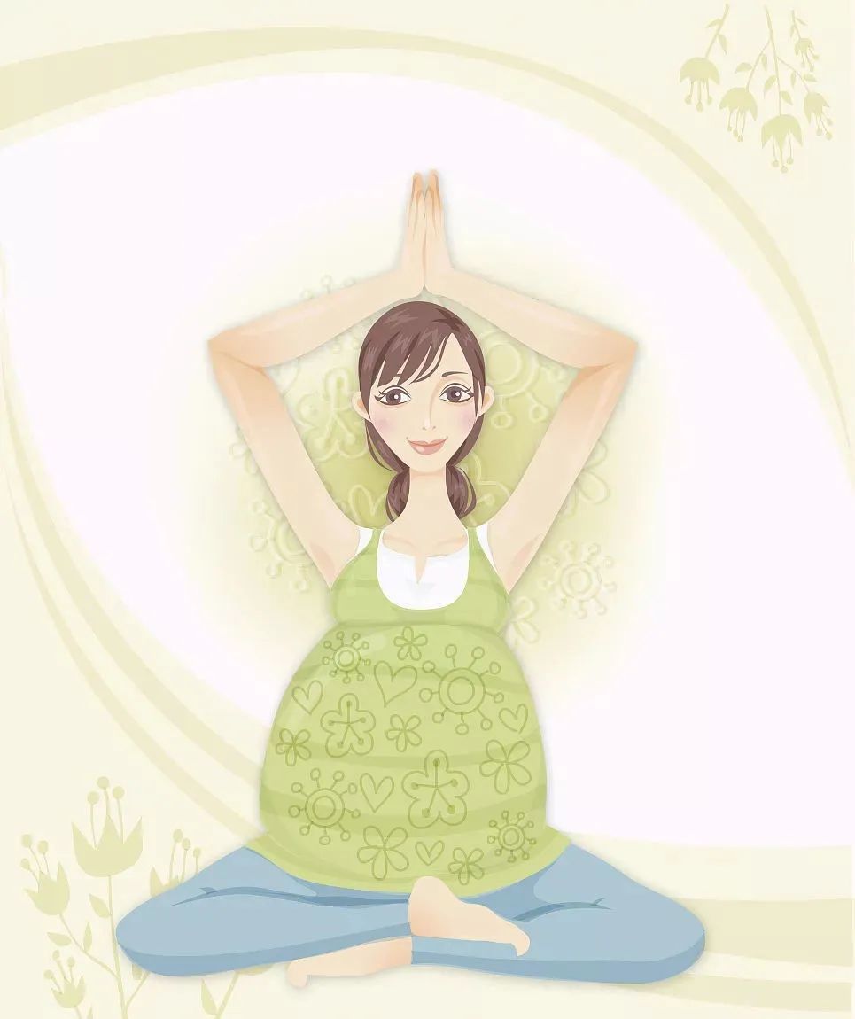海苔补铁吗