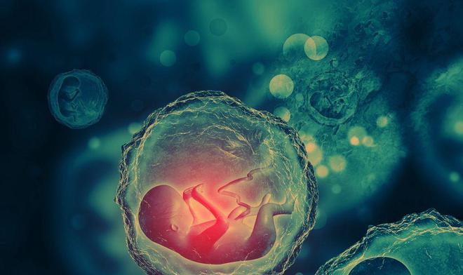 婴儿几个月补锌