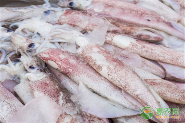 怎样选购补硒产品呢(补硒的产品买什么最好)-硒宝网