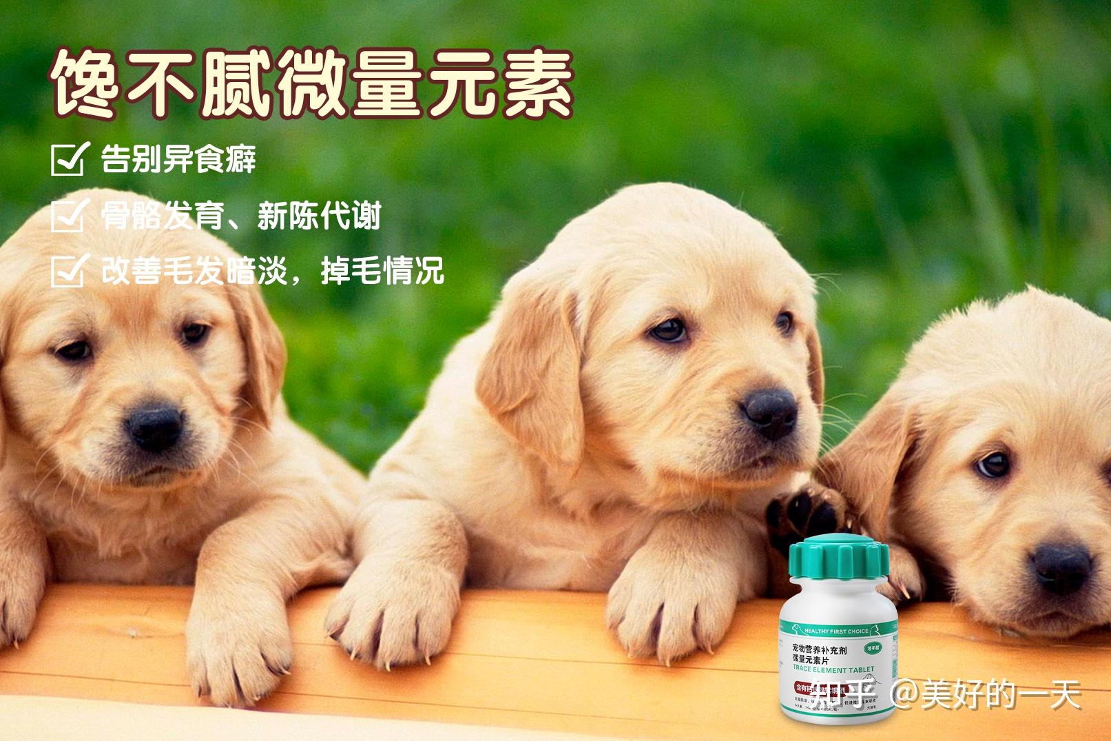 缺微量元素应该怎么补(缺微量补元素应该吃什么药)-硒宝网