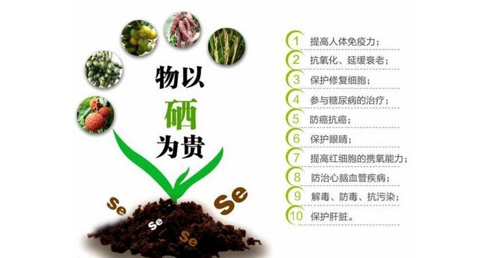补硒对血糖有帮助吗