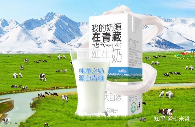 哪种牌子牛奶补钙最好
