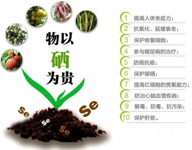 有机硒补硒产品排行