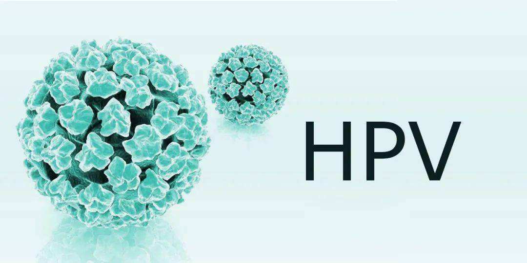 补硒元素预防hpv(硒元素预防癌症)-硒宝网