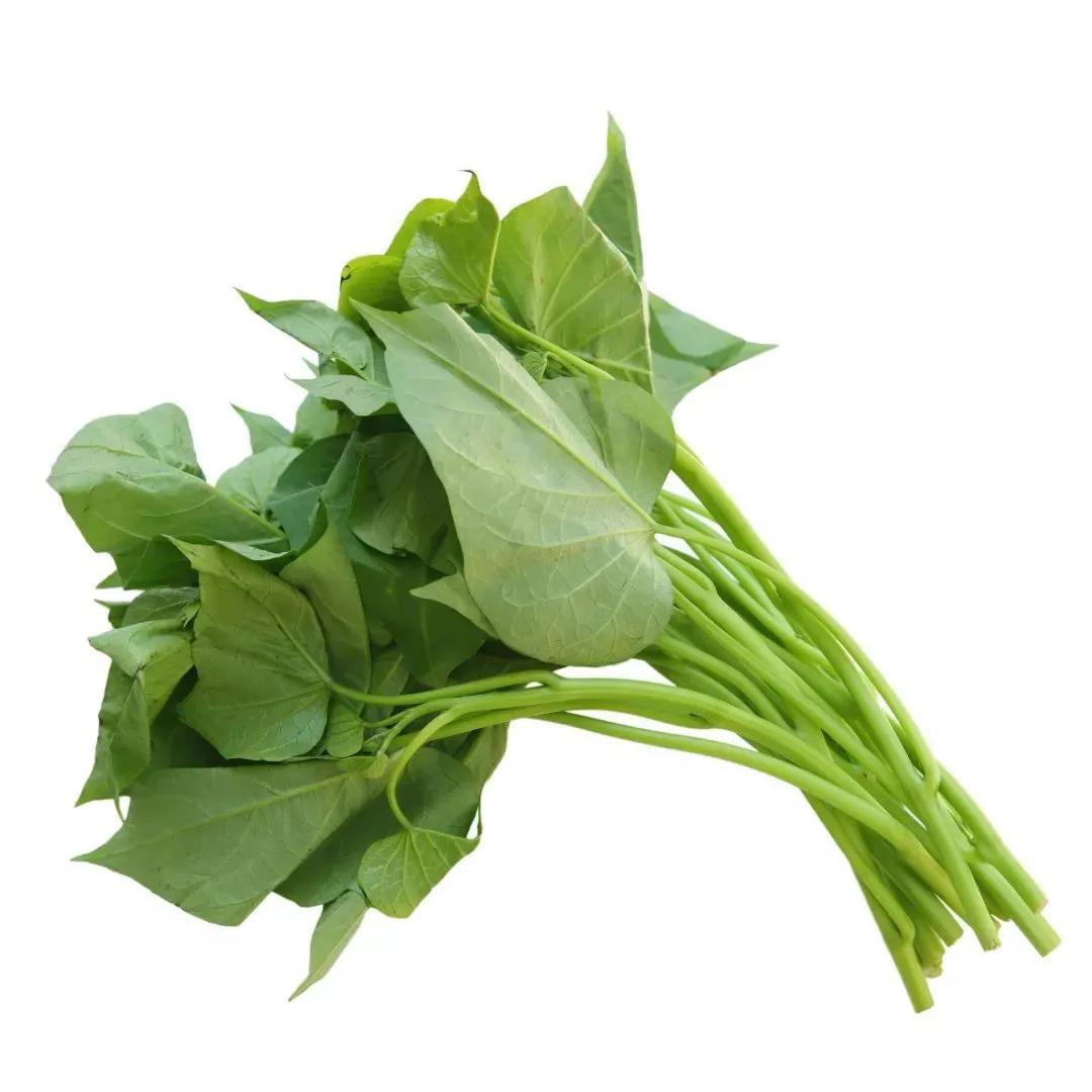 补钙蔬菜前十名