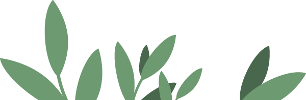 微量元素六项