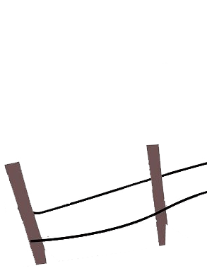 微量元素六项