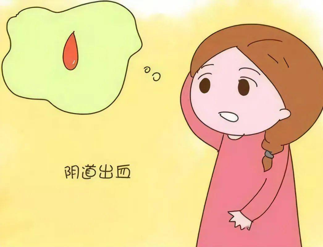 红枣补铁