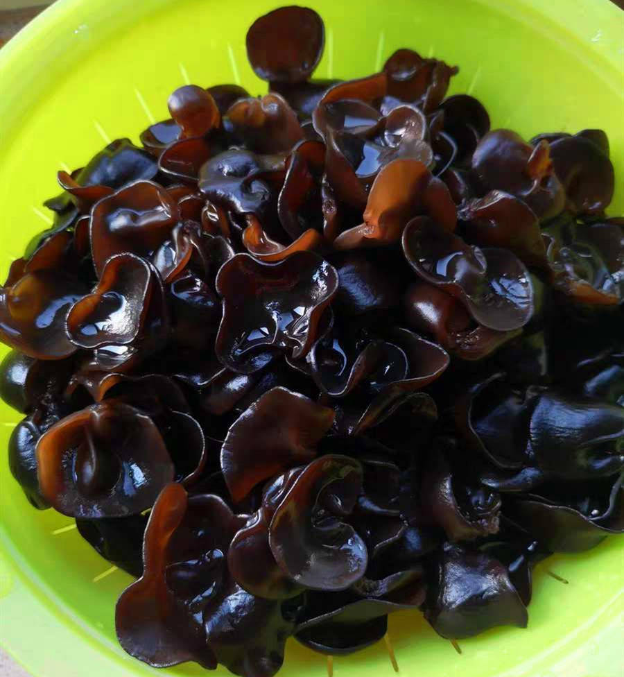 什么食物可以补铁
