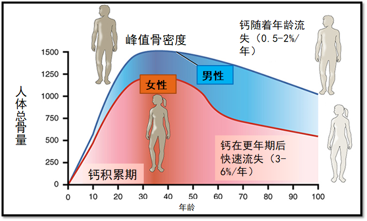 补钙的好处