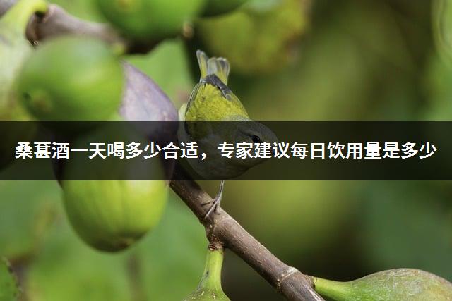 桑葚酒一天喝多少合适，专家建议每日饮用量是多少-1