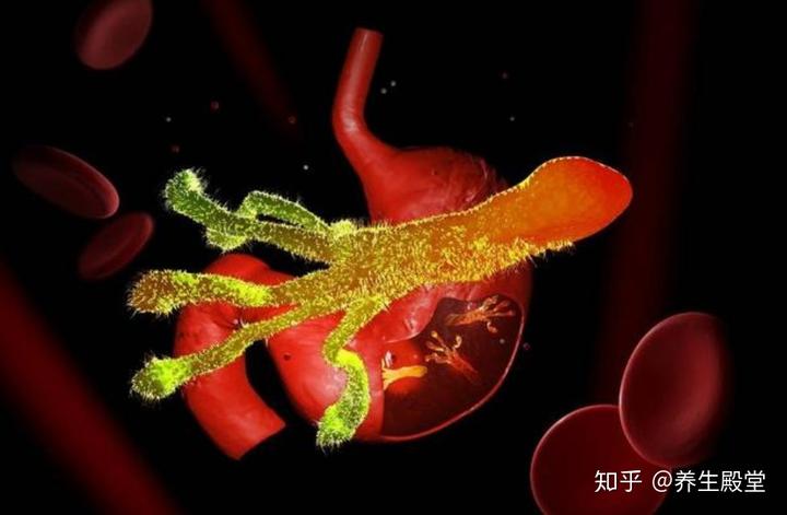 老人胃不好怎样补硒