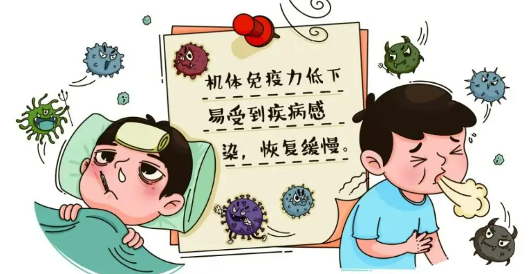 市面最好的补硒产品